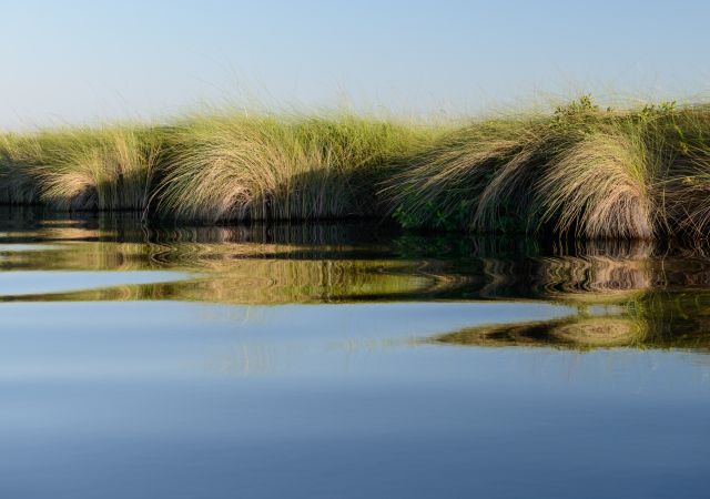 Okavango-Delta pur: Spiegelung auf der Bootsfahrt in Moremi