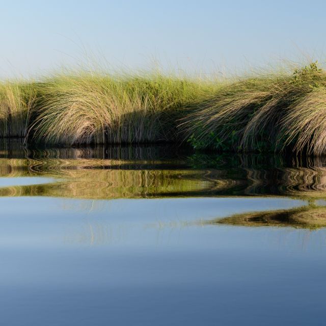 Okavango-Delta pur: Spiegelung auf der Bootsfahrt in Moremi