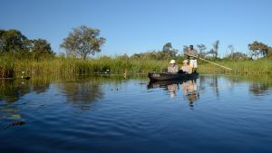 Unterwegs im Mokoro, dem für das Okavango-Delta typischen Einbaum