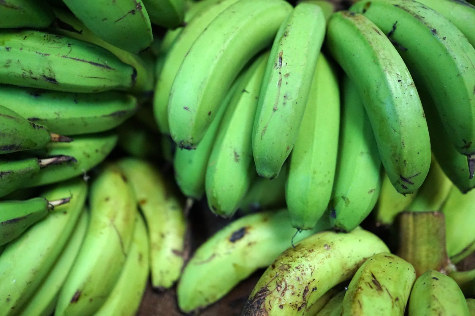 Bananen auf dem Markt in Lautoka