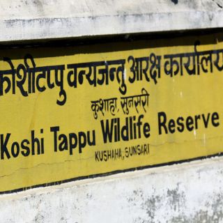 Koshi-Tappu-Naturschutzgebiet