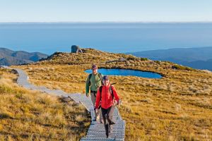 Hügelwanderung im Fiordland, Neuseeland