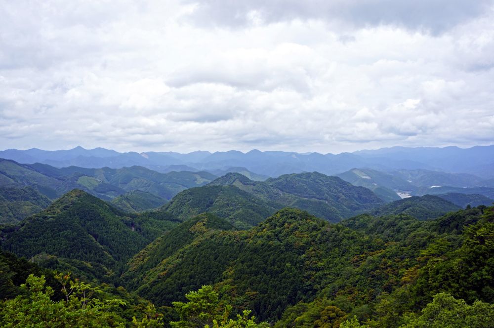 urige Wälder entlang des Kumano Kodo Pilgerweges