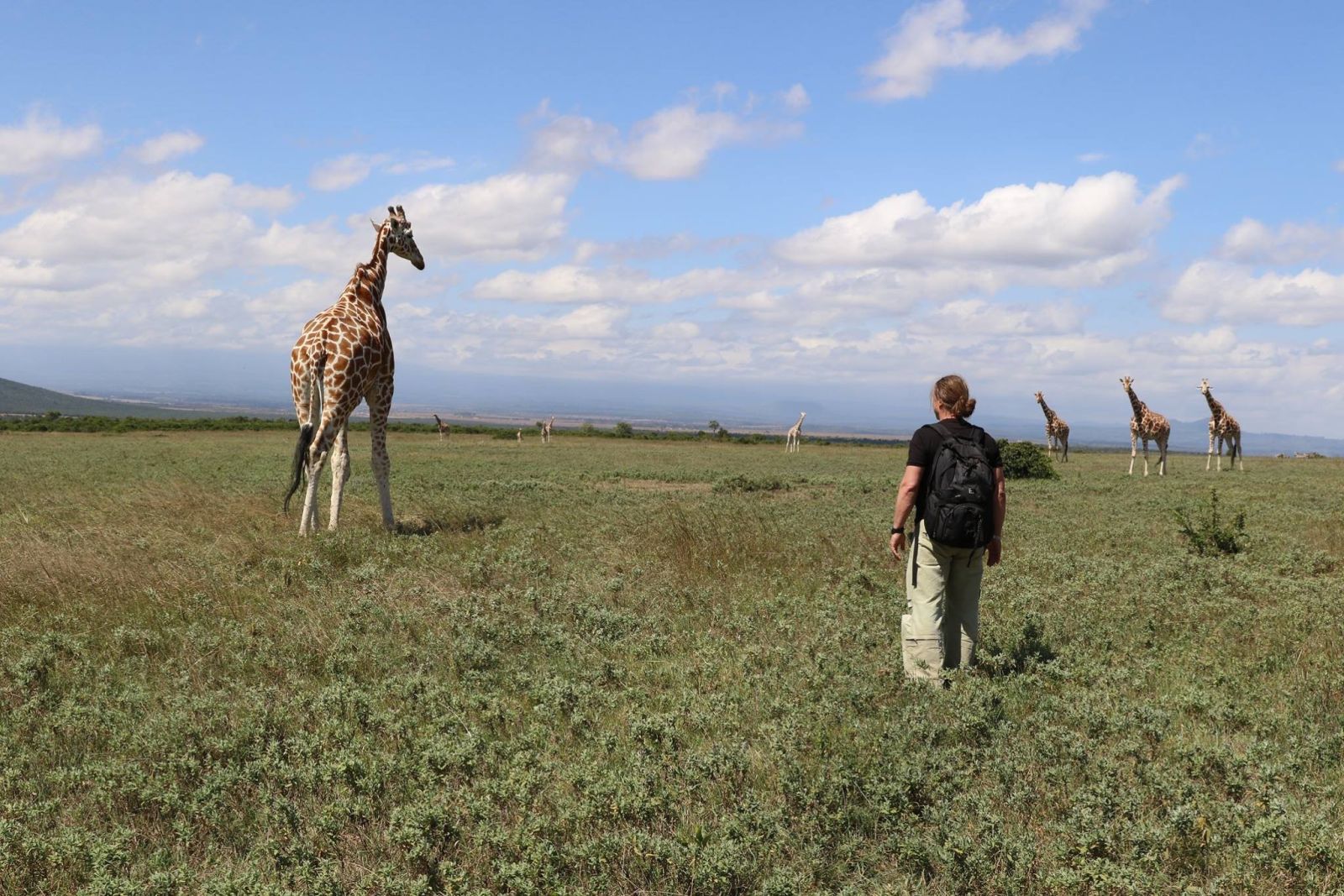 Beim Giraffenwandern im Gebiet der Aberdares