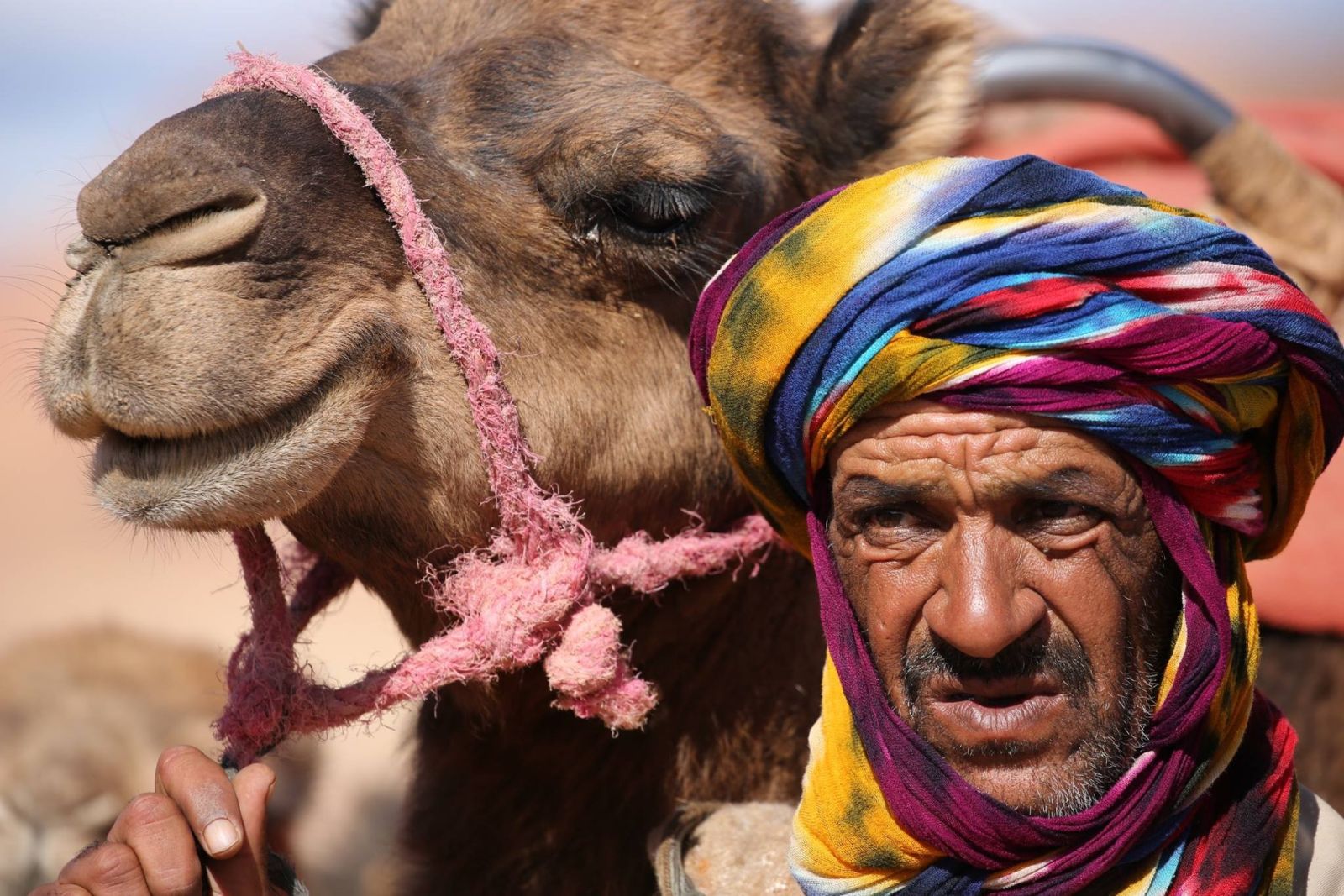 Marokkaner mit Kamel