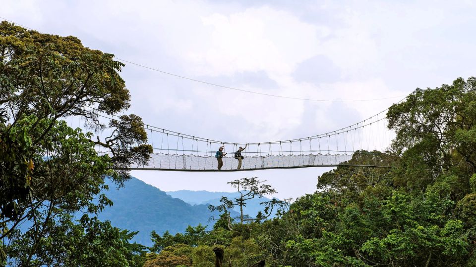 Die Canopy Hängebrücke im Nyungwe Forest