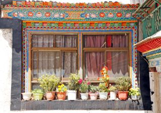 Blumenarrangement in Lhasa