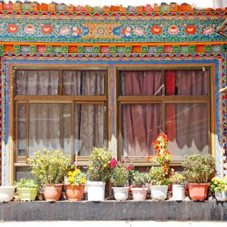 Blumenarrangement in Lhasa