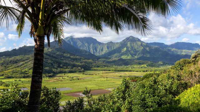 Blick auf das Tal von Hanalei, Kauai