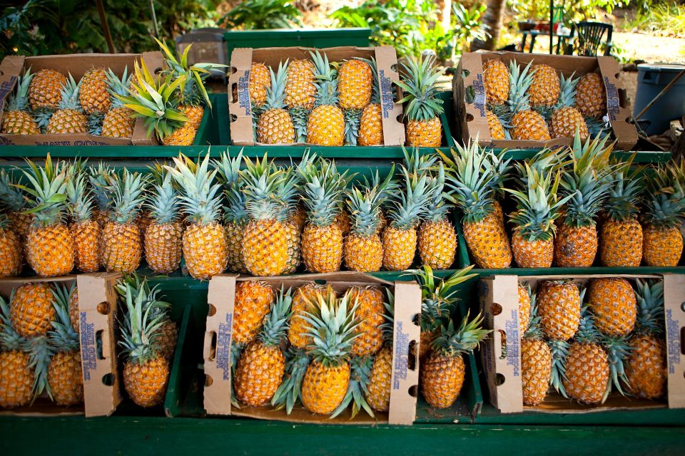 Ananas-Stand,Olowalu, Maui