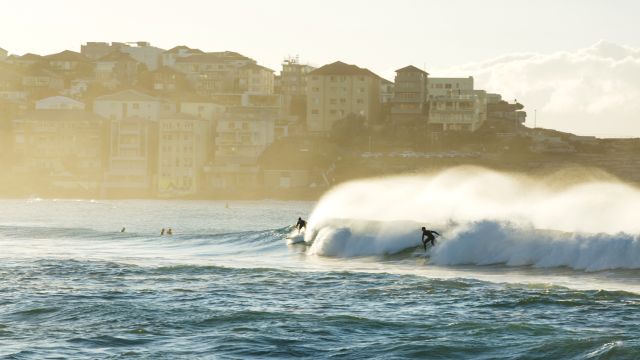Surfer in Sydney
