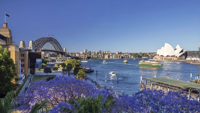 Blick auf Sydney mit der Oper und der Harbour Bridge