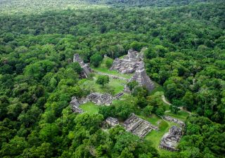 Die riesige Anlage von Tikal aus der Luft