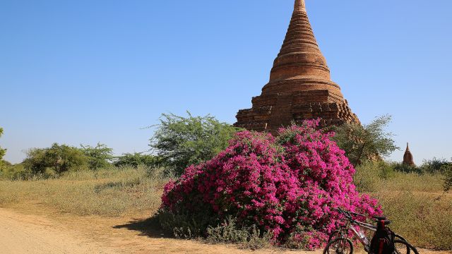 Mit dem Fahrrad durch die historische Königsstadt Bagan