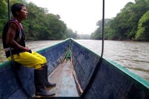 Fahrt im Holzboot auf dem Rio Napo