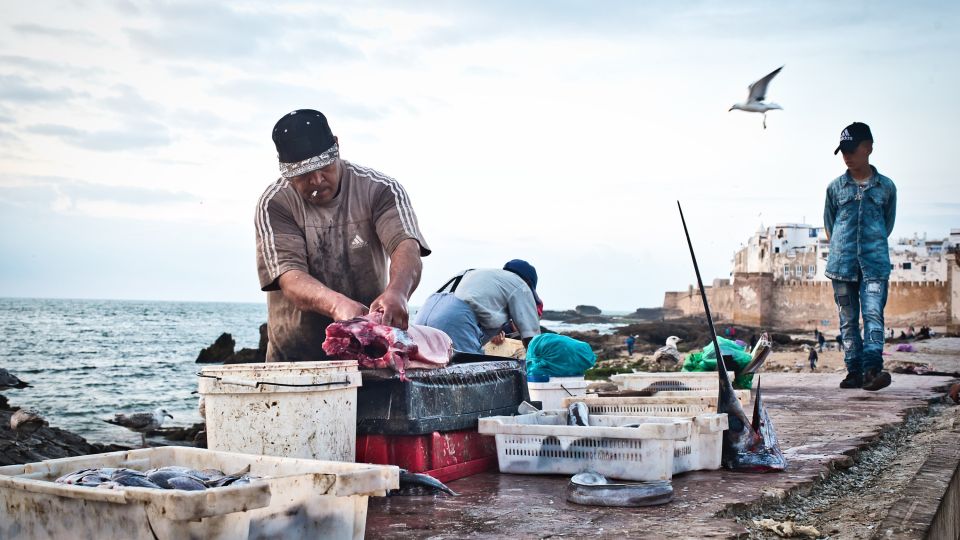 Fischer im Hafen von Essaouira