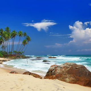 Schöner Sandstrand an Sri Lankas Ostküste