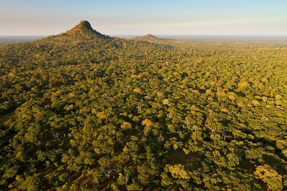 Waldsavanne im Gorongosa-Nationalpark