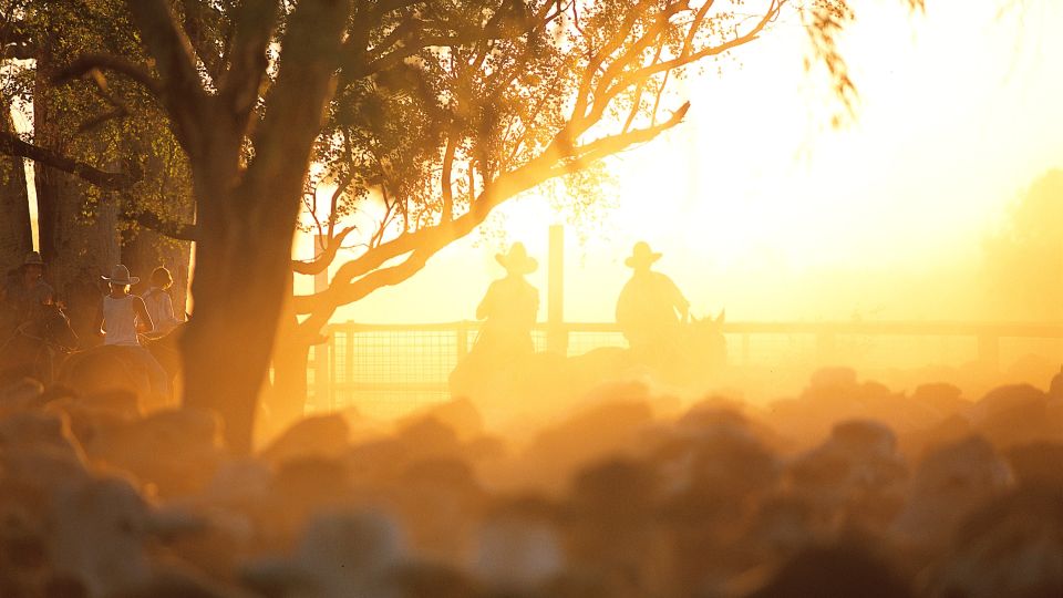 Muster auf der Cattle Station im Sonnenuntergang