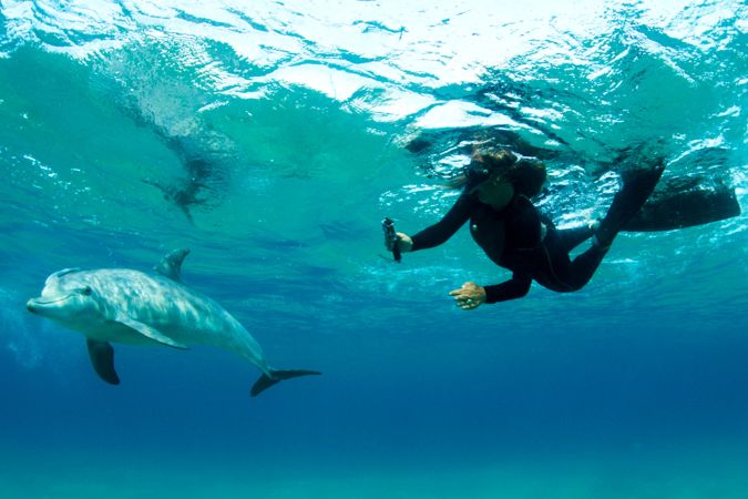 Schnorcheln mit Delfinen vor Ponta do Ouro, Dolphin Encountours © Diamir