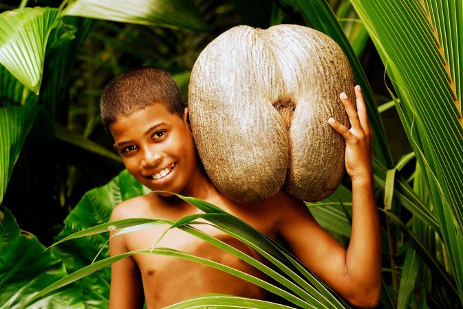 Junge mit einer Coco de Mer © Diamir