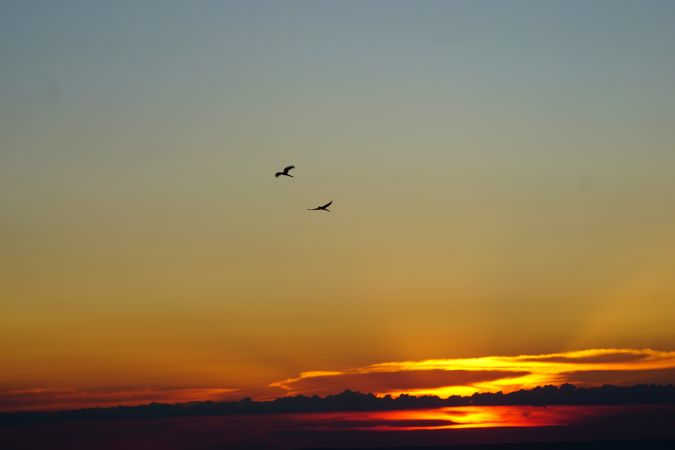 Ein Ara-Pärchen versüßt den Sonnenuntergang © Diamir