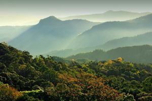 Doi Inthanon National Park in Chiang Mai