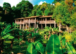 typisches Langhaus auf Stelzen im Dschungel von Borneo
