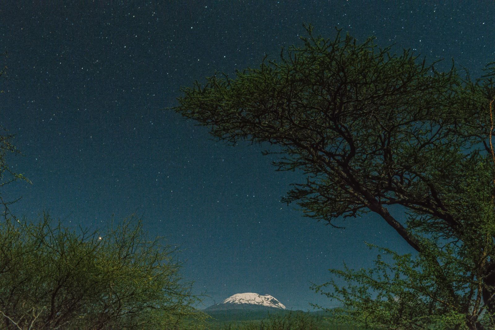 Der Kilimanjaro im Mondlicht