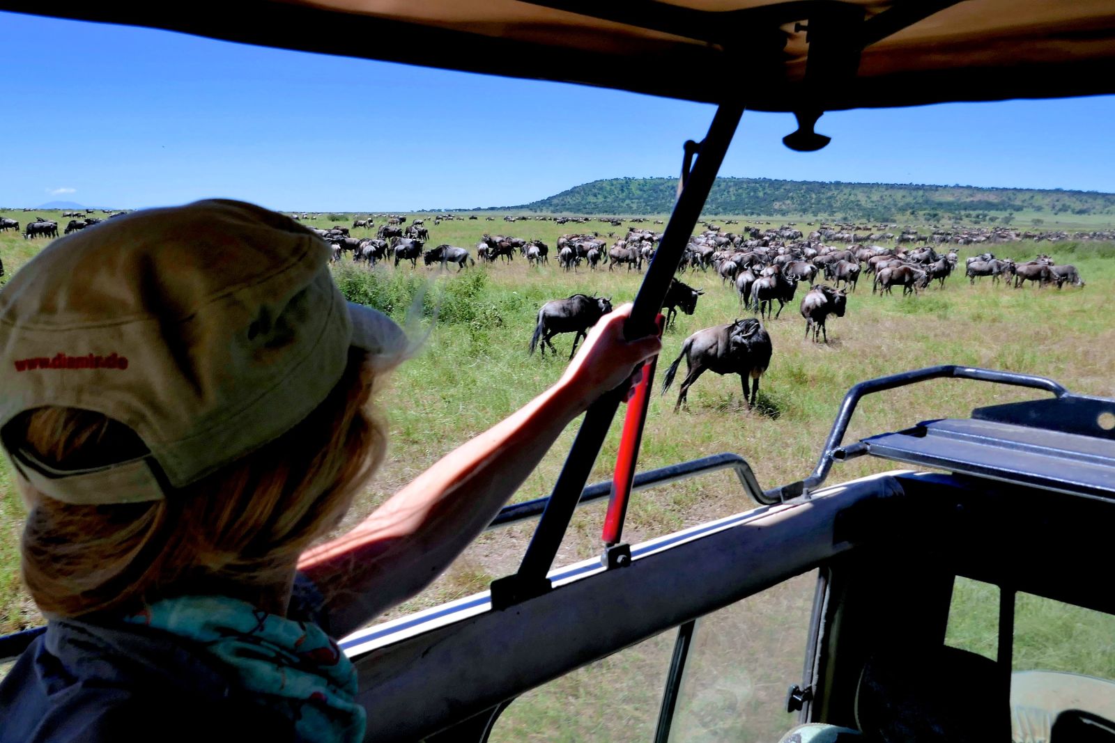 Gnu-Migration in der Serengeti