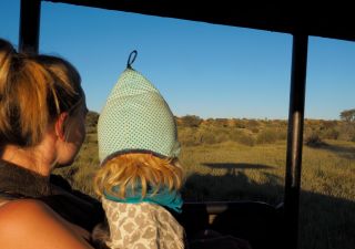 Pirschfahrt bei der Kalahari Red Dunes Lodge