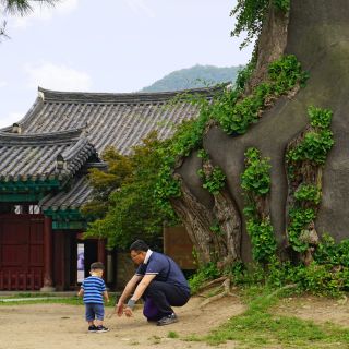 Kultur-Natur-Symbiose in Jeonju