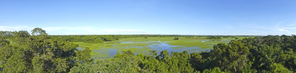 Ausblick über die Weite des Pantanal