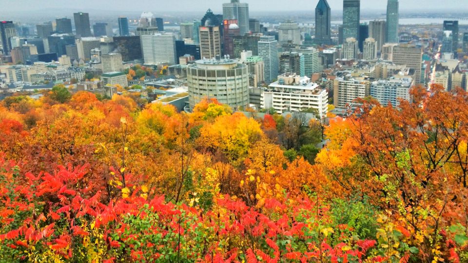 Montreal im Herbst, Blick vom Mont-Royal
