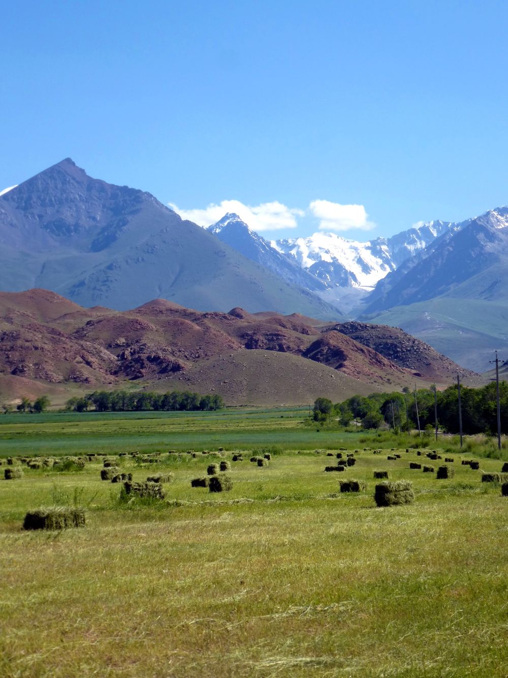 Weidelandschaft Kirgistan
