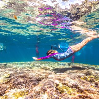 Schwimmen und Schnorcheln in der Coral Bay