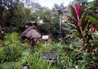 Diese traumhafte Lodge befindet sich inmitten des Regenwaldes und bietet von einem Orchideengarten bis hin zu Ziplining für jeden etwas.