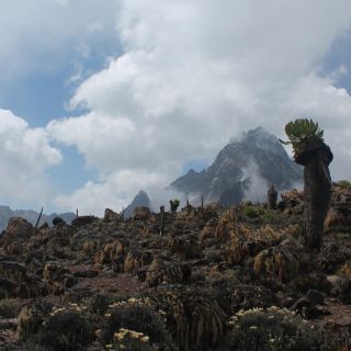 Da ist er endlich! Die Gipfel des Mount Kenya kämpfen sich schüchtern durch die Wolken.