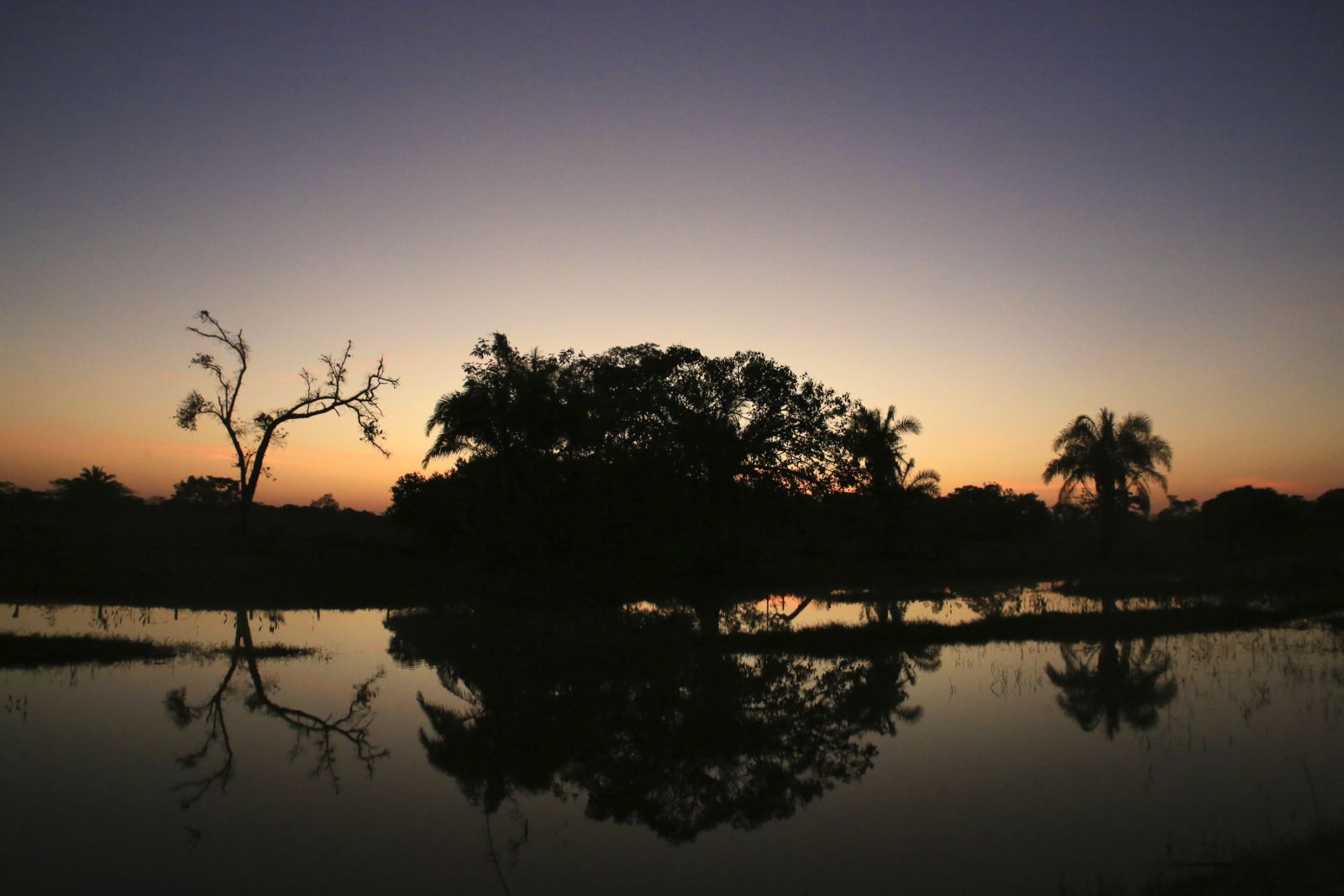Magischer Sonnenuntergang im Pantanal