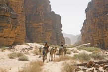 mit dem Kamel durch die Canyons der Sahara