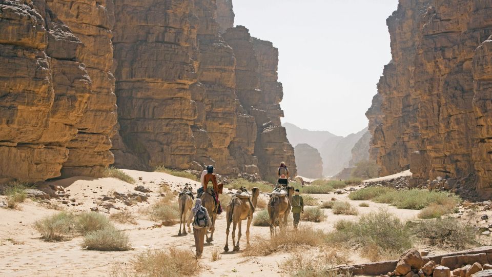 mit dem Kamel durch die Canyons der Sahara