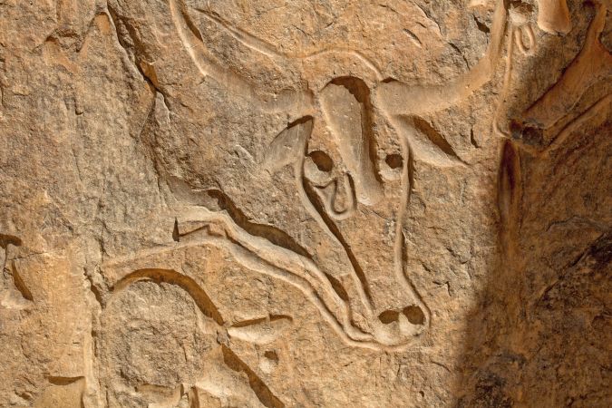 prähistorischen Gravur inmitten der Sahara © Diamir