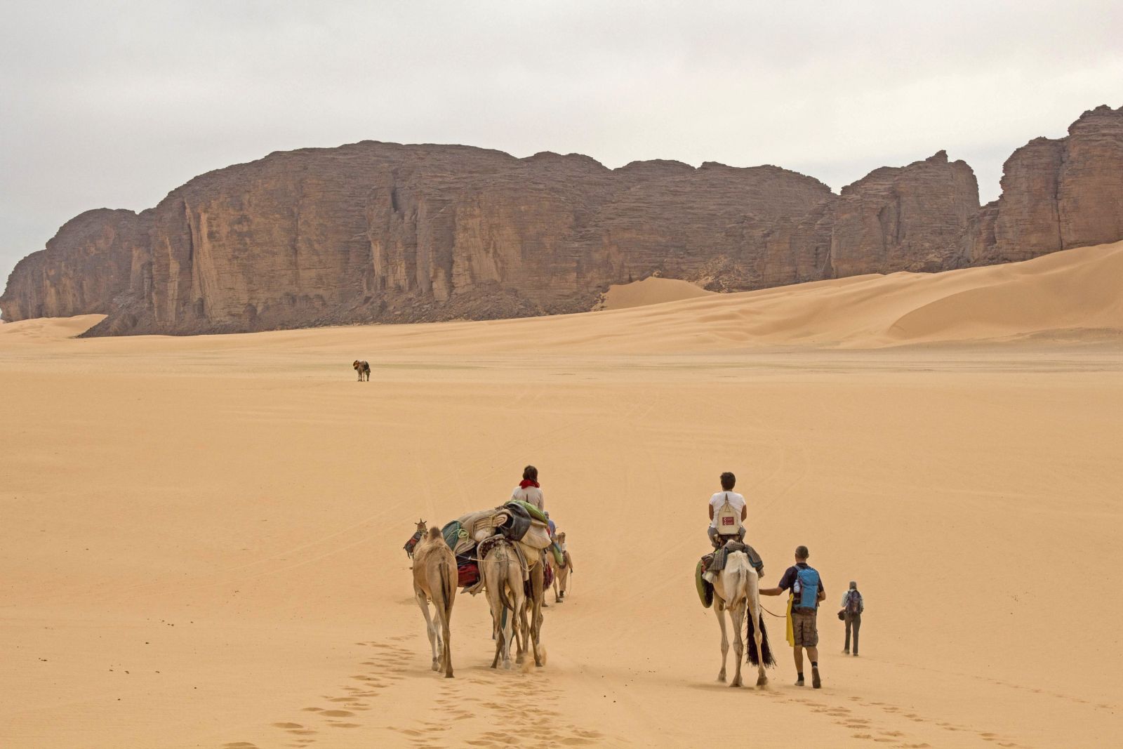 Trekking durch das Wüstengelände der algerischen Sahara