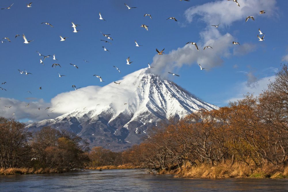 Vulkan Kronotsky und Vogelschwarm