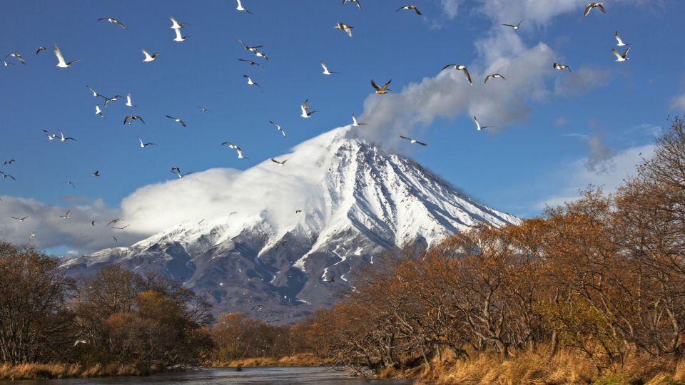 Vulkan Kronotsky und Vogelschwarm