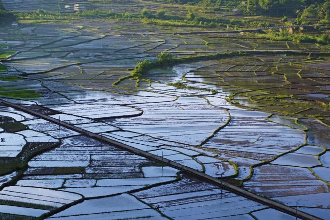 Reisfeldmosaik in Vietnam © Diamir