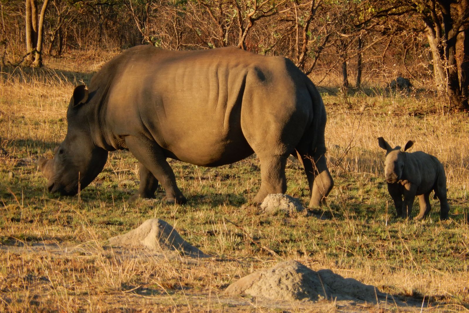 Matobo-Nationalpark, Simbabwe