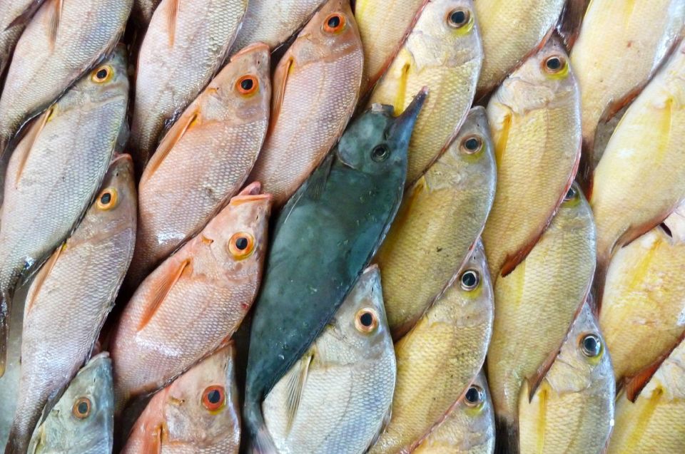 Fischmarkt in Französisch-Polynesien