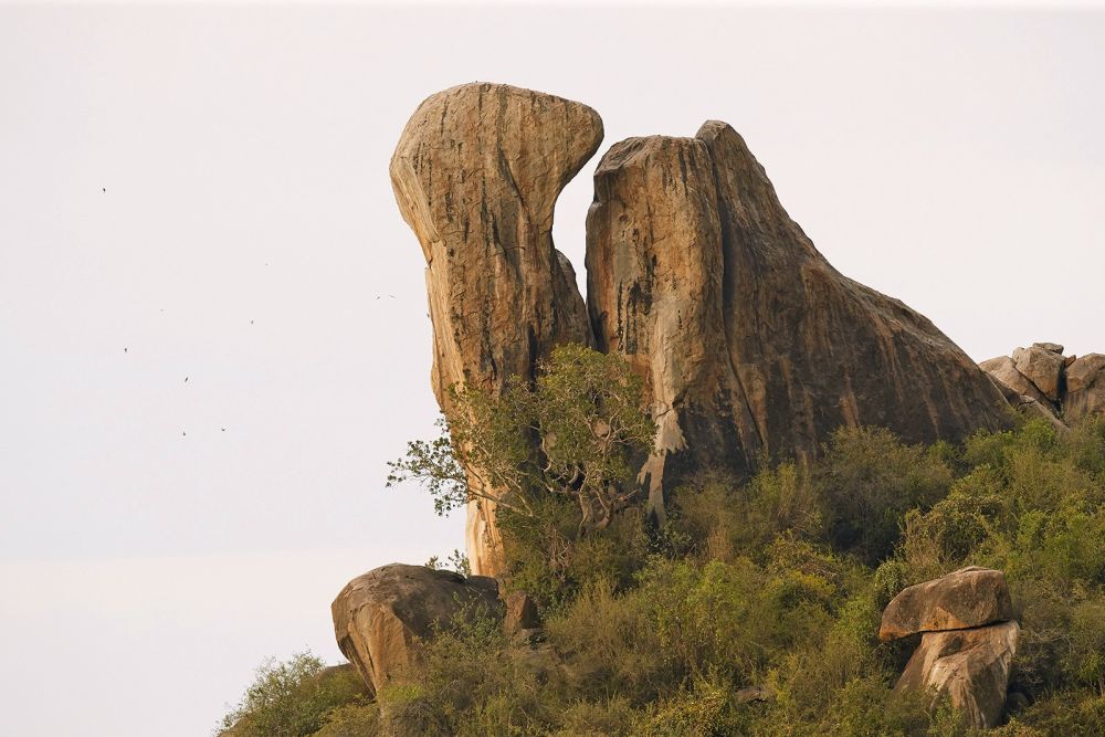 Felsen in der Serengeti