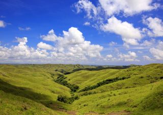 Traumhafte Aussicht über die Hügellandschaft Sumbas